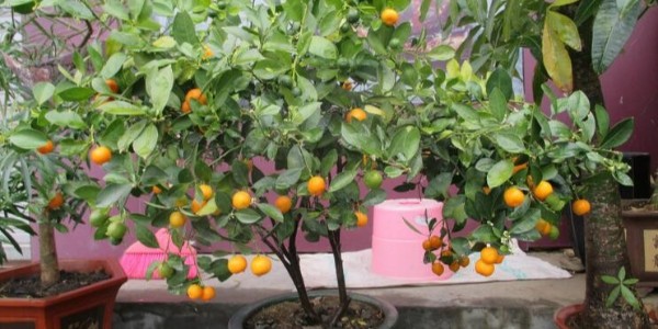 有了深圳指紋鎖，告別鑰匙開門