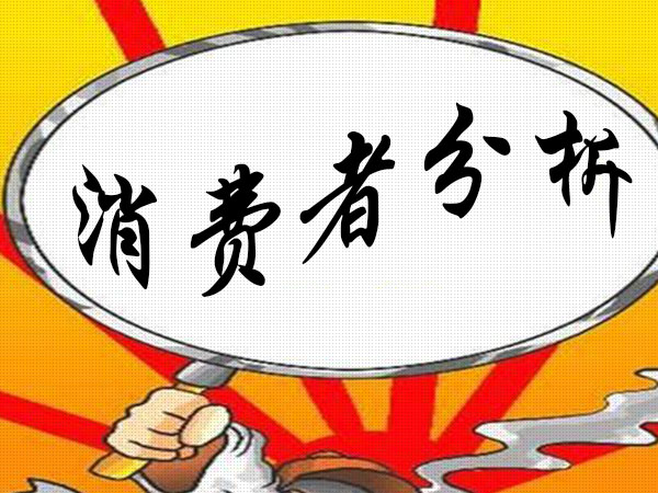 消費(fèi)者分析