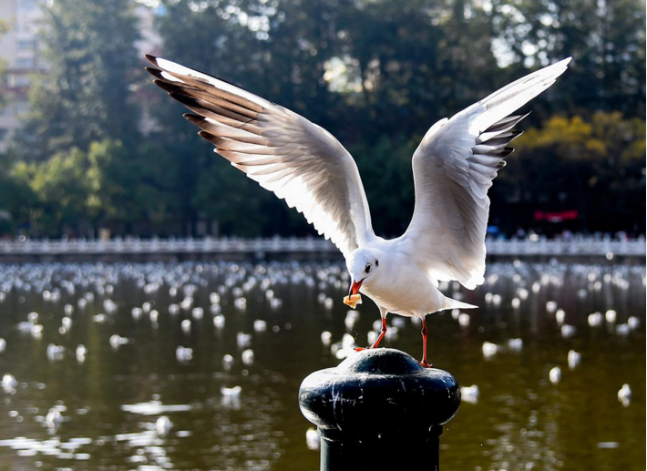 智能鎖廠家加盟前景如何？-智能鎖廠家加盟皇迪智能